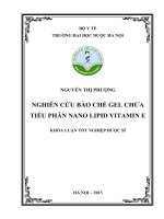 Nghiên cứu bào chế gel chứa tiểu phân nano lipid vitamin e