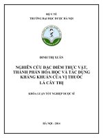 NGHIÊN CỨU ĐẶC ĐIỂM THỰC VẬT, THÀNH PHẦN HÓA HỌC VÀ TÁC DỤNG KHÁNG KHUẨN CỦA VỊ THUỐC LÁ CÂY THỊ
