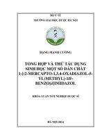 Tổng hợp và thử tác dụng sinh học của một số dẫn chất 1 (2  mercapto 1,2,2,4  oxadiazol 5 YL) methyl 1h benzodimidazol