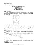 Đề ngữ văn 6 - đề kiểm tra, thi định kỳ học sinh giỏi tham khảo bồi dưỡng (128)