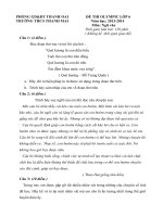 Đề ngữ văn 6 - đề kiểm tra, thi định kỳ học sinh giỏi tham khảo bồi dưỡng (98)