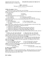 Đề thi môn vật lý lớp 8 - kiểm tra học kì, thi học sinh giỏi tham khảo bồi dưỡng (112)