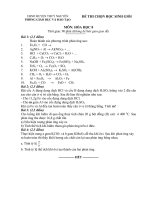Đề thi chọn học sinh giỏi môn Hóa học lớp 8 số 14