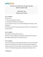 Đề thi tuyển sinh vào trường THCS Marie Curie - Hà Nội 2013 môn tiếng việt