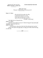 Đề thi học sinh giỏi Ngữ văn lớp 8 số 3