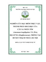 Nghiên cứu đặc điểm thực vật, thành phần hóa học của cây sa nhân tím ( amomum longiligulare t l wu) họ gừng ( zinggiberaceae) trồng tại huyện thạch thất, hà nôij