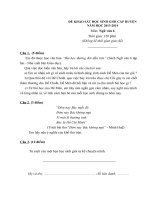 Đề ngữ văn 6 - đề kiểm tra, thi định kỳ học sinh giỏi tham khảo bồi dưỡng (39)