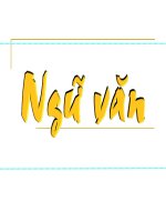 Chuyện người con gái Nam Xương