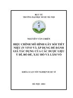 Hiệu chỉnh mô hình gây sỏi tiết niệu in vivo và áp dụng để đánh giá tác dụng của các dược liệu ý dĩ, bồ đề, xấu hổ và lâm vồ