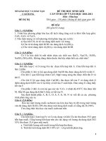 Đề thi học sinh giỏi môn Hóa học lớp 9 cấp huyện số 4