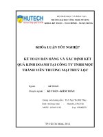 Kế toán bán hàng và xác đinh kết quả kinh doanh tại công ty TNHH MTV thương mại Thủy Lộc