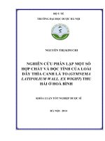 Nghiên cứu phân lập một số hợp chất và độc tính của loài dây thìa canh lá to ( gymnema latifolium wall  ex wight) thu hái ở hòa bình