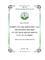 Nghiên cứu đặc điểm thực vật, thành phần hóa học và tác dụng kháng khuẩn của lá cây hồng