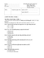 Đề kiểm tra giữa kỳ I Tiếng Việt lớp 5 số 17