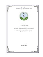 Bào chế hệ phan tán rắn meloxicam