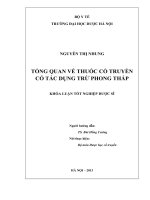 Tổng quan về thuốc cổ truyền có tác dụng trừ phong thấp