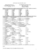 Bộ đề thi học sinh giỏi Tiếng Anh lớp 8 số 32