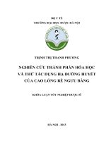 Nghiên cứu thành phần hóa học và thử tác dụng hạ đường huyết của cao lỏng rễ ngưu bàng
