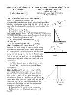 Đề thi học sinh giỏi lớp 10 THPT tỉnh Hải Dương năm học 2012 - 2013 môn Vật lý - Có đáp án