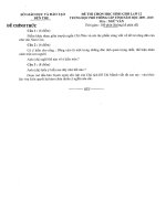 Đề thi học sinh giỏi lớp 12 THPT tỉnh Bến Tre năm học 2009 - 2010 môn Ngữ văn