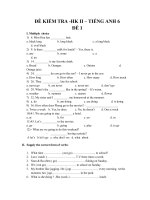 đề kiểm tra học kì 2, tiếng anh 6, đề số 1