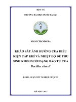 Khảo sát ảnh hưởng của điều kiện cấp khí và nhiệt độ để thu sinh khối dưới dạng bào tử của bacillus clausii