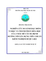 Nghiên cứu so sánh đặc điểm vi học và thành phần hóa học của 3 mẫu rễ cây bá bệnh hướng tới xây dựng tiêu chuẩn kiểm nghiệm dược liệu