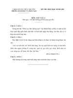Đề ngữ văn 6 - đề kiểm tra, thi định kỳ học sinh giỏi tham khảo bồi dưỡng (105)