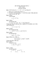 Đề thi thử học sinh giỏi Lớp 12 môn Toán năm 2013 (2)