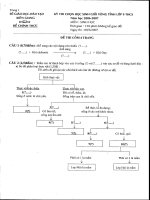 Đề thi học sinh giỏi tỉnh Kiên Giang môn Sinh năm học 2006 - 2007(có đáp án)