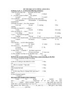 ĐỀ THI HỌC KỲ II TIẾNG ANH 8 SỐ 6