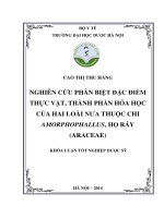Nghiên cứu phân biệt đặc điểm thực vật, thành phần hóa học của hai loài nưa thuộc chi amorphophallus, họ ráy ( araceae)