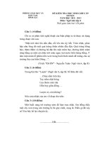 Đề ngữ văn 6 - đề kiểm tra, thi định kỳ học sinh giỏi tham khảo bồi dưỡng (53)