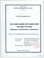 Góp phần nghiên cứu thành phần hóa học cây ngoi phần 1