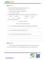 Đề thi tuyển sinh vào trường THCS Amsterdam 2009 môn tiếng việt