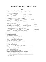 đề kiểm tra học kì 2, tiếng anh 6, đề số 5