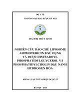 Nghiên cứu bào chế liposome amphotericin b sử dụng tá dược distearoyl phosphatidyglycerol và phosphatidylcholin đậu nành hydrogen hóa