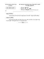 Đề thi học sinh giỏi tỉnh Cà Mau lớp 12 năm 2010 môn Ngữ văn