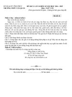 Đề thi khảo sát chất lượng đầu năm học 2014-2015 lớp 10 trường THPT Văn Quán, Vĩnh Phúc môn văn