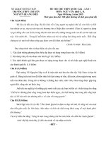 Đề thi thử đại học môn Văn (2)