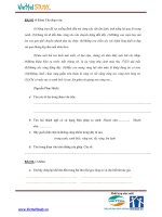 Đề thi tuyển sinh vào trường THCS Amsterdam 2007 môn tiếng việt