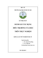 Đánh giá tác dụng điều trị bỏng của EB12 trên thực nghiệm