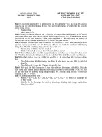 Đề thi học sinh giỏi tổng hợp môn vật lý THPT (17)