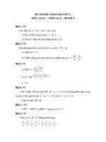 Đề thi thử học sinh giỏi Lớp 12 môn Toán năm 2013 (7)