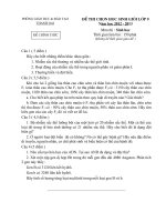 Đề thi học sinh giỏi Sinh học lớp 9 chọn lọc số 11