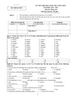 Bộ đề thi học sinh giỏi Tiếng Anh lớp 8 số 9