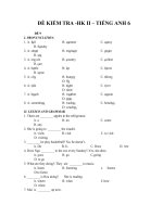 đề kiểm tra học kì 2, tiếng anh 6, đề số 9