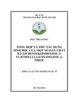 Tổng hợp và thử tác dụng sinh học của một số dẫn chất 52 (1h benzodmidazol 2 YL) ethyl11,3,4  oxydiazol 2 thiol