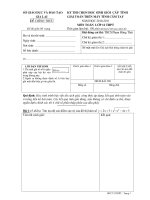 Đề thi học sinh giỏi Giải toán trên Máy tính cầm tay cấp tỉnh Gia Lai môn Toán lớp 12 (2010 - 2011)