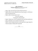 Đề thi học sinh giỏi môn Sinh học 8 số 10